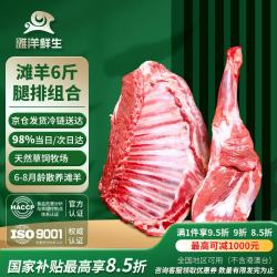 滩洋鲜生 前腿半排 3kg