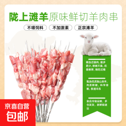 甘肃滩羊 羔羊肉串 360g 20串
