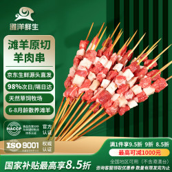 滩洋鲜生 烧烤撒料 羔羊肉串  滩羊肉串60串 2.4斤 简装