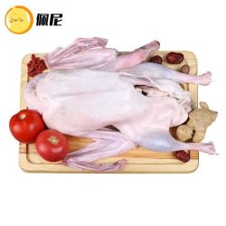 小鸡佩尼 农家散养大白鹅 4~5斤 新鲜冷冻鹅肉