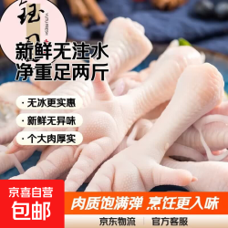 钰图 国产冷冻生鸡爪 1000g