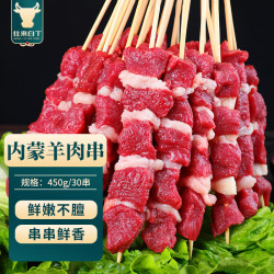 往来白丁 内蒙古羊肉串30串/450g净重 新鲜羊肉生鲜火锅烧烤食材涮 内蒙羊肉串30串