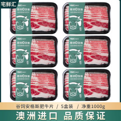 宅鲜汇 原切肥牛片5盒 1000g