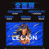 联想 拯救者Y7000P 2025 16英寸电竞游戏本电脑 i7-14650HX 16G 1T RTX5060 2.5K 240Hz