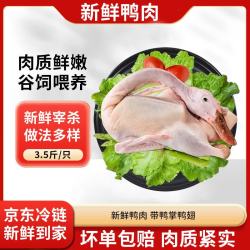 岽鲜 国产新鲜冷冻白条鸭 3.5斤/只