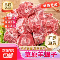 羊蝎子 国产生鲜羊骨头 10斤 羊脊骨脖骨 商用批发减脂餐