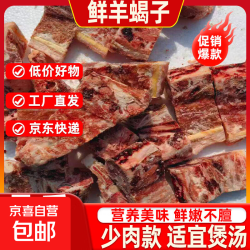 新鲜羊蝎子 10斤 羊脊骨 羊脖骨 龙骨 火锅煲汤 生鲜食材