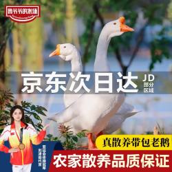鲁爷爷的农场 LU爷爷的农场 清真散养仔鹅 16斤 2只装