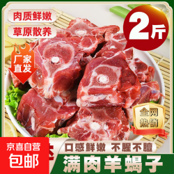 羊蝎子 国产 带肉火锅羊骨头 10斤