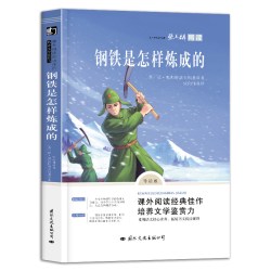 钢铁是怎样炼成的导读版