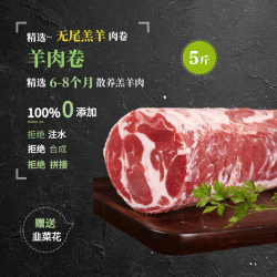 XIMUSI 锡牧思 内蒙古苏尼特羔羊羊肉卷脆骨整条原切 5斤
