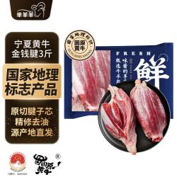 芈羊羊 西北黄牛肉牛腱子金钱腱 3斤