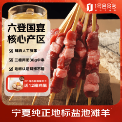 1号会员店 宁夏盐池滩羊 羔羊肉串 0.6kg