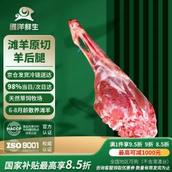 滩洋鲜生 滩羊羊后腿 2kg
