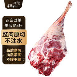 芈羊羊 源头直发 滩羊肉