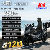 大阳电动车 Dayang 大阳 V锐250T 250cc燃油踏板摩托车