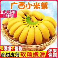 果迎鲜 苹果蕉 胖香蕉 广西苹果蕉 小米蕉4.5斤