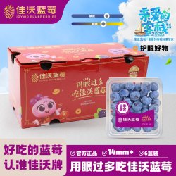佳沃 云南当季蓝莓MBO系列 14mm+中果 6盒礼盒装 约125g/盒 新鲜水果