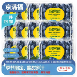 京满福 现摘高山新鲜 蓝莓  带箱1斤 单果12mm+净重4盒*100g