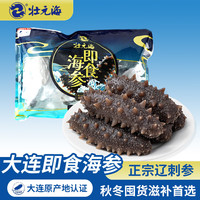 壮元海 Zhuangyuanhai 壮元海 大连即食海参 8-12头/1斤