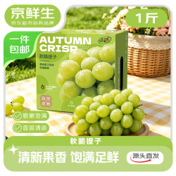京鲜生 云南阳光玫瑰葡萄 1.5斤装单果6g起 香印青提 生鲜水果 源头直发
