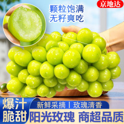 京地达 阳光玫瑰葡萄晴王青提子新鲜水果净重4.8斤单果12g+源头直发包邮