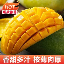 庾丰 海南应季新鲜芒果 整箱当季现摘热带水果金煌芒 青皮芒果 5斤装净果4.5斤 10斤净重4500g