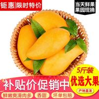 玖原农珍 海南青皮金煌芒净重4.5斤