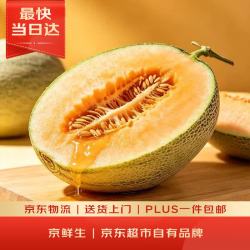 京鲜生 西州蜜 哈密瓜 单果果重1.25kg以上 1粒