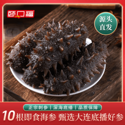 颐口福 大连鲜活即食海参鲍汁海参葱烧海参佛跳墙礼盒源头直发 即食海参10根（约8-10cm）