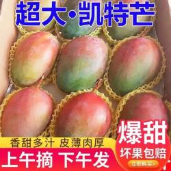 集南鲜 广西金煌芒 现摘青皮热带甜心芒果新鲜时令生鲜水果礼盒 含箱5斤优选大果（200g起）