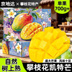 京地达 芒果攀枝花凯特芒果大芒果水果礼盒净重8.5斤单果700g+源头直发