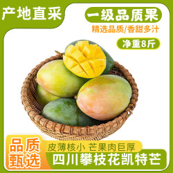 京鲜生 攀枝花凯特芒果 净重3斤 单果300g+ 生鲜水果 源头直发 凯特芒3斤单果300g+