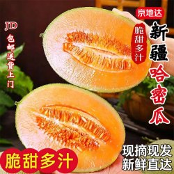 京地达 新疆哈密瓜 净重4斤 单果1000g+ 新鲜水果哈密瓜源头直发包邮