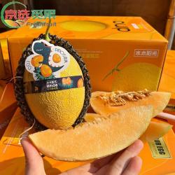京果予恐龙蛋蜜瓜 吐鲁番至爱哈密瓜 国产特级新疆黄皮哈密瓜网 4粒原装礼盒