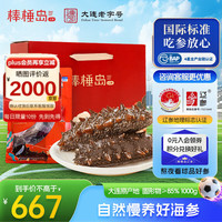 棒棰岛 大连海参海鲜水产5斤非即食辽参辽刺参孕妇滋补春参送礼礼盒特产 1000g 礼盒14-18只
