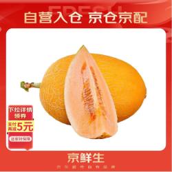 京鲜生 黄金哈密瓜 1粒装 单果3斤起  生鲜水果