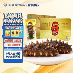老尹家 即食海参7年礼盒0-5度水袋装冷藏无需化冻开袋即食  80g/只 10只