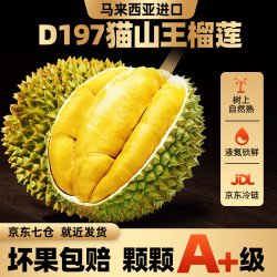 什果乐 液氮冷冻 榴莲 尊选果净重4.0-4.5斤（包4-5房）