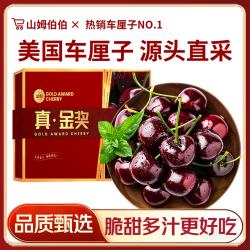 山姆伯伯 优圣园 樱桃车厘子美早大樱桃水果礼盒五一端午  超级巨无霸 4J 32-34mm 5斤