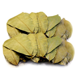 星云湖 刺果番榴莲干叶子  红毛榴莲叶子毛番榴莲干叶子 500g