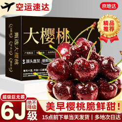 京地达 山东美早大樱桃 5J级 单果18g+ 2斤