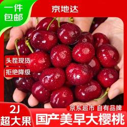 京地达 山东 美早国产车厘子 1.8斤 果径28-30mm
