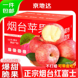 京地达 源头直发 红富士苹果  精选特大果4.5斤|单果85mm+ 苹果+纸箱 2.25kg