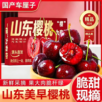 智宙智利车厘子大樱桃水果礼盒年货节 精选特大果｜2JJ 8-10g 净重0.8斤礼盒装