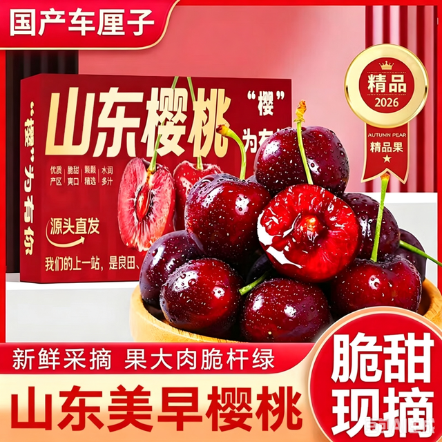 智宙智利车厘子大樱桃水果礼盒年货节 精选特大果｜2JJ 8-10g 净重0.8斤礼盒装