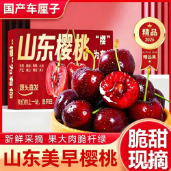 智宙智利车厘子大樱桃水果礼盒年货节 精选特大果｜2JJ 8-10g 净重0.8斤礼盒装