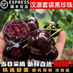 朵芮蜜 现摘四川汉源车厘子黑珍珠套袋果美早大樱桃新鲜甜新鲜水果次日达 4斤(净重)  30mm-32mm
