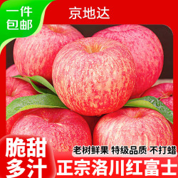 京地达 源头直发 红富士苹果  甄选大果4.5斤|单果80mm+ 苹果+纸箱 2.25kg