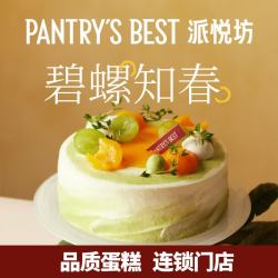 派悦坊 枇杷碧螺春生日蛋糕龙井茶动物奶油甜品聚会同城当天配送北京上海 10英寸 适合10-15人